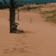 Illustration for article titled This New Westworld Trailer Looks Like a Lot of Things to Us, So Let's Break It Down
